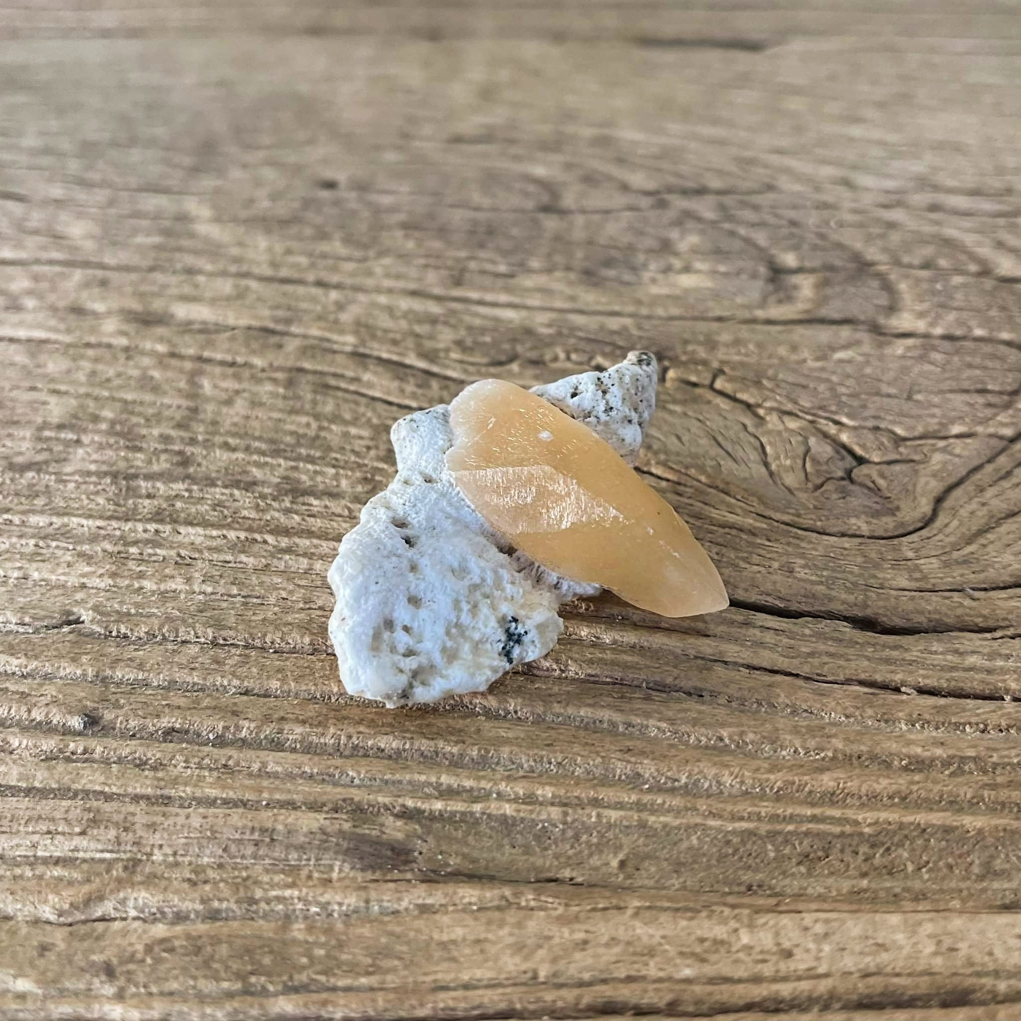 Calcite on okenite Mineral specimen