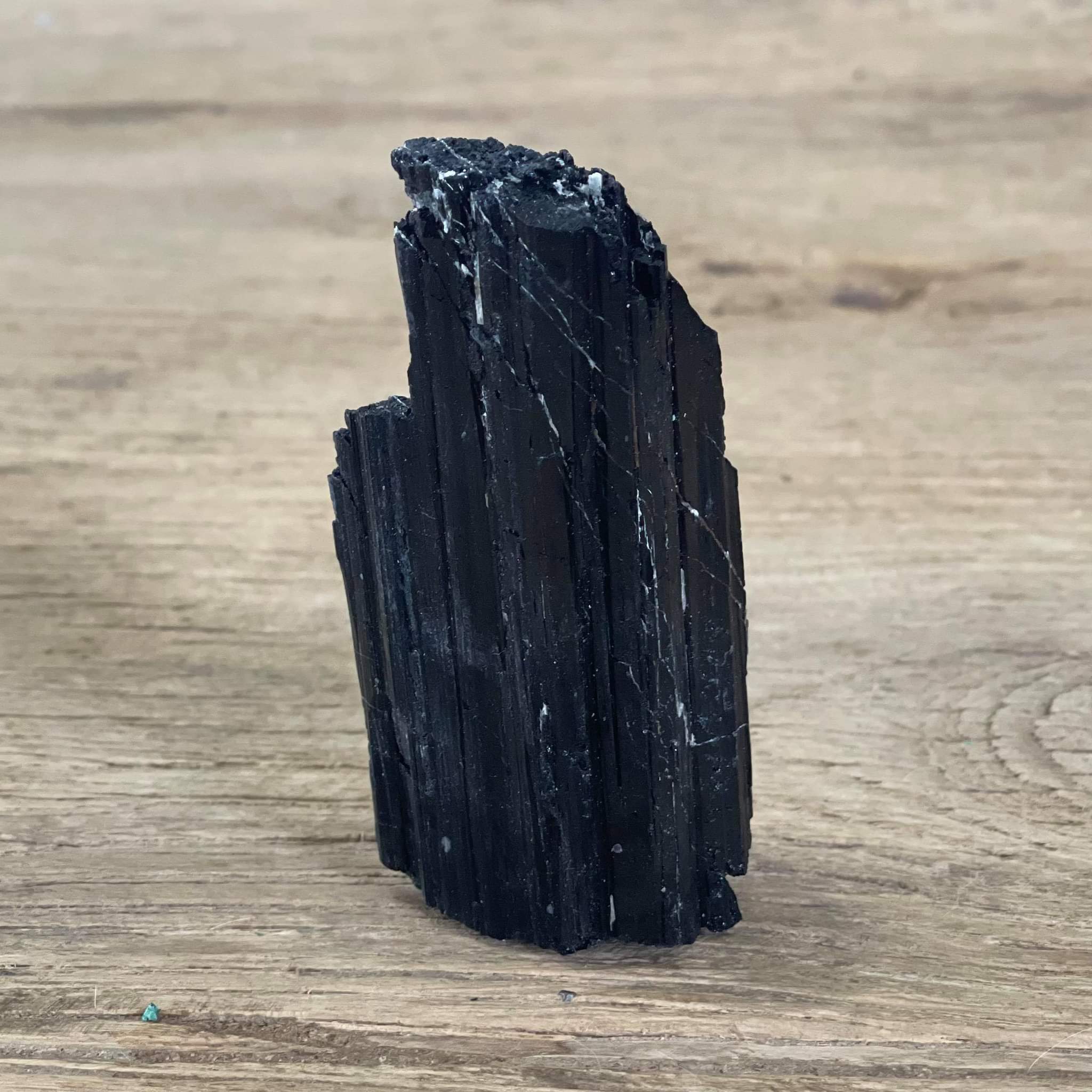 Black tourmaline Mineral specimen
