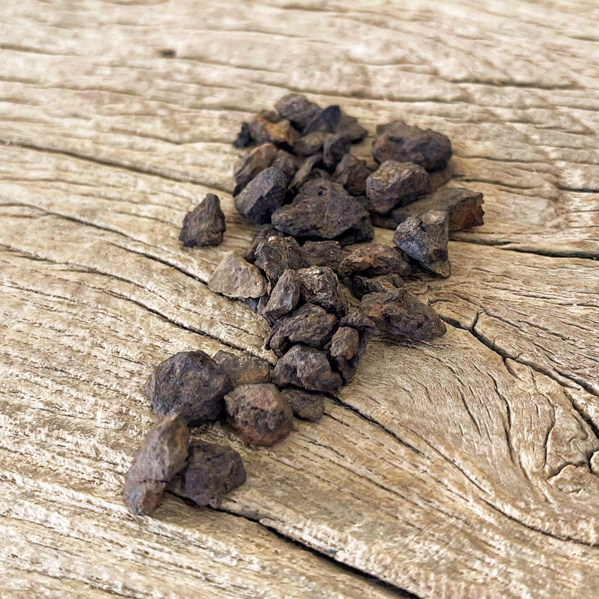 Vaca muerta Meteorite fragments