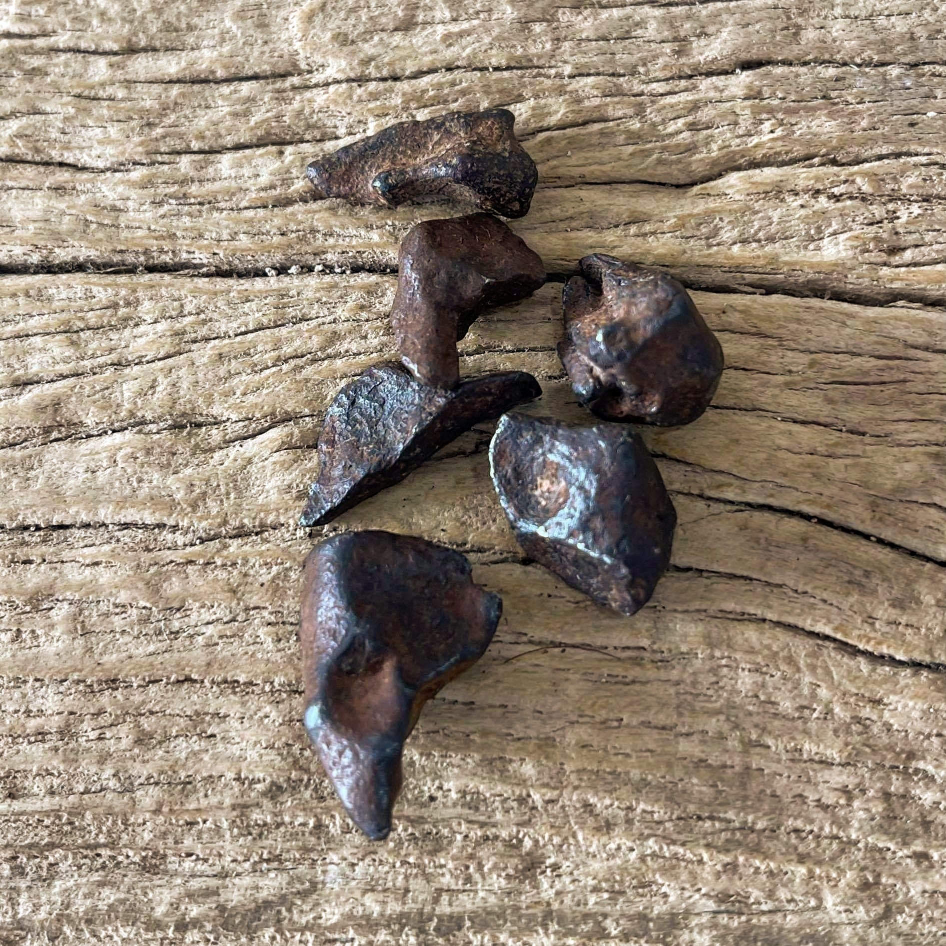 Agoudal IIAB Iron Meteorite fragments