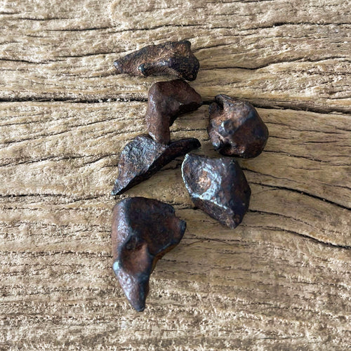 Agoudal IIAB Iron Meteorite fragments