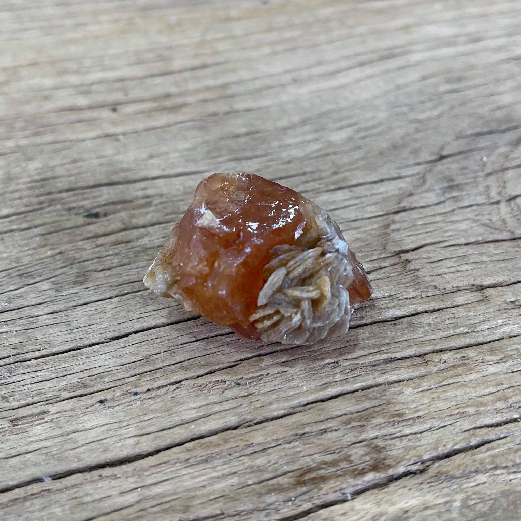 Scheelite Mineral specimen - Lost archives store - product_name_for_sale - product_name_for_sale_australia - category_name