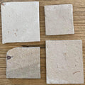 Starfish fossil - Lost archives store - product_name_for_sale - product_name_for_sale_australia - category_name