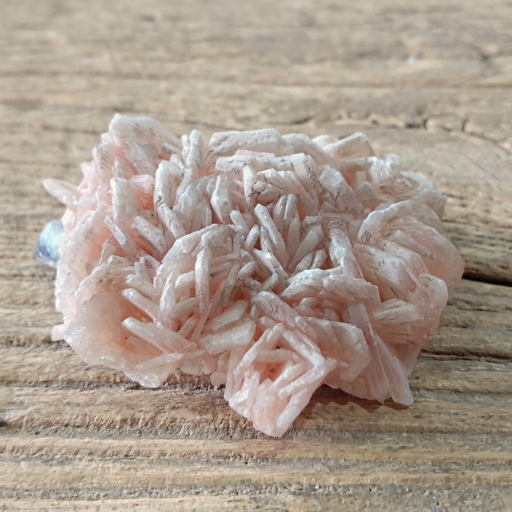 Stilbite on chalcedony specimen - Lost archives store - product_name_for_sale - product_name_for_sale_australia - category_name