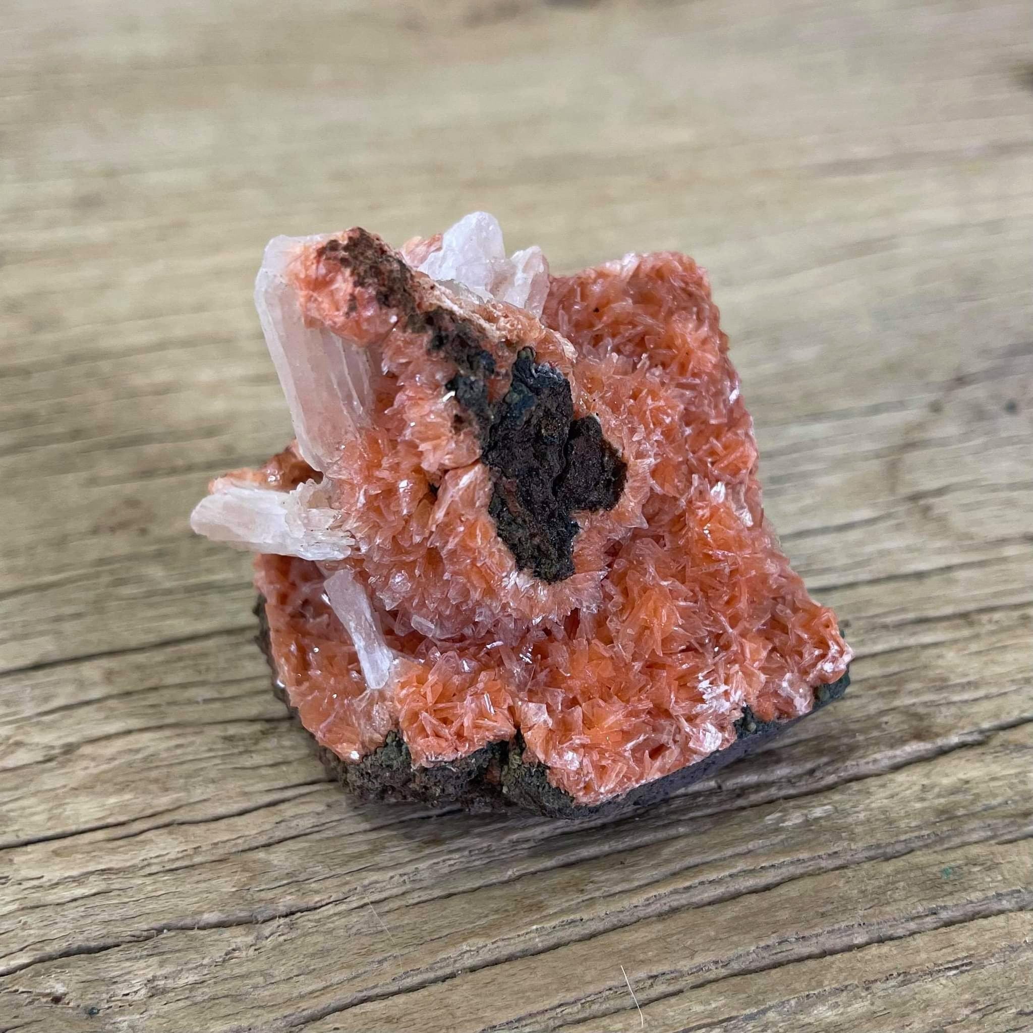 Stilbite & Orange Heulandite Mineral specimen - Lost archives store - product_name_for_sale - product_name_for_sale_australia - category_name