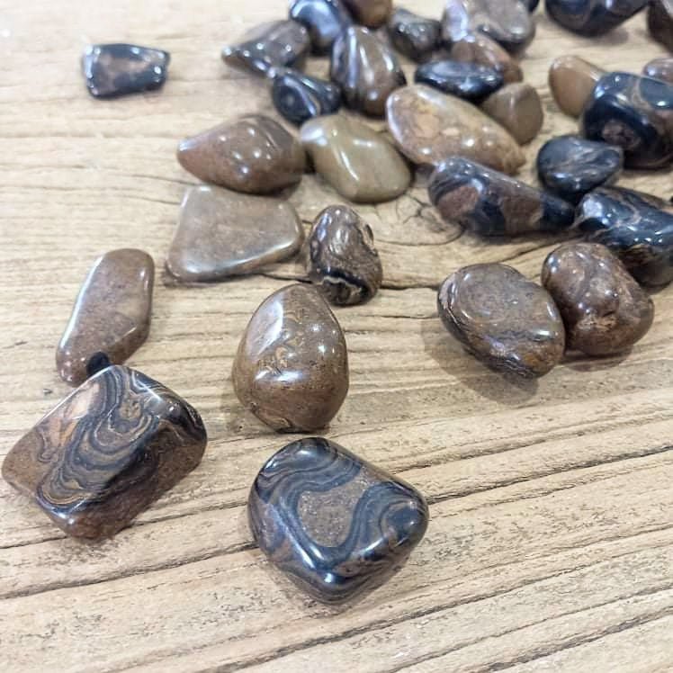 Stromatolite tumblestones - Lost archives store - product_name_for_sale - product_name_for_sale_australia - category_name