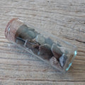 Triceratops bone fragment vial - Lost archives store - product_name_for_sale - product_name_for_sale_australia - category_name
