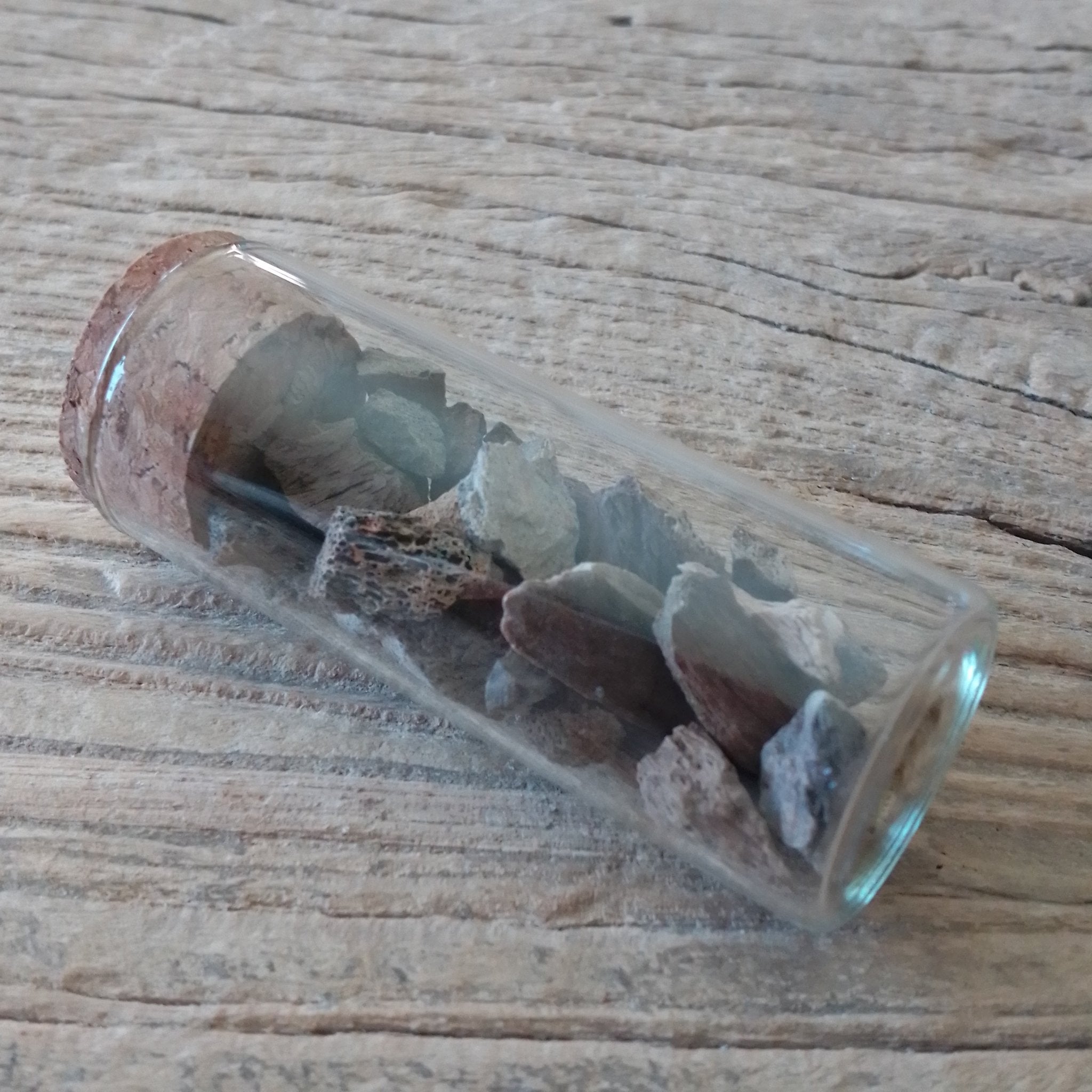 Triceratops bone fragment vial - Lost archives store - product_name_for_sale - product_name_for_sale_australia - category_name