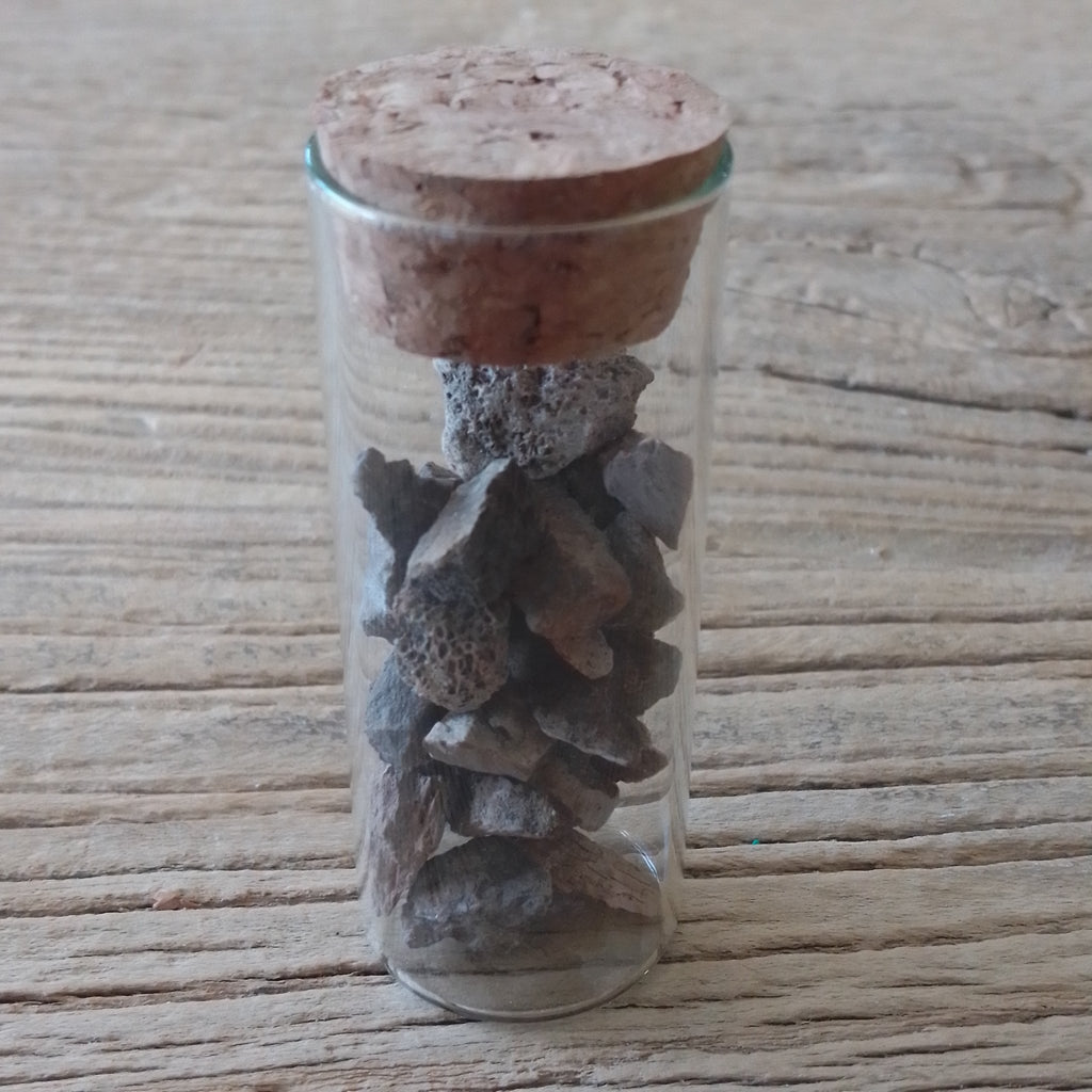 Triceratops bone fragment vial - Lost archives store - product_name_for_sale - product_name_for_sale_australia - category_name